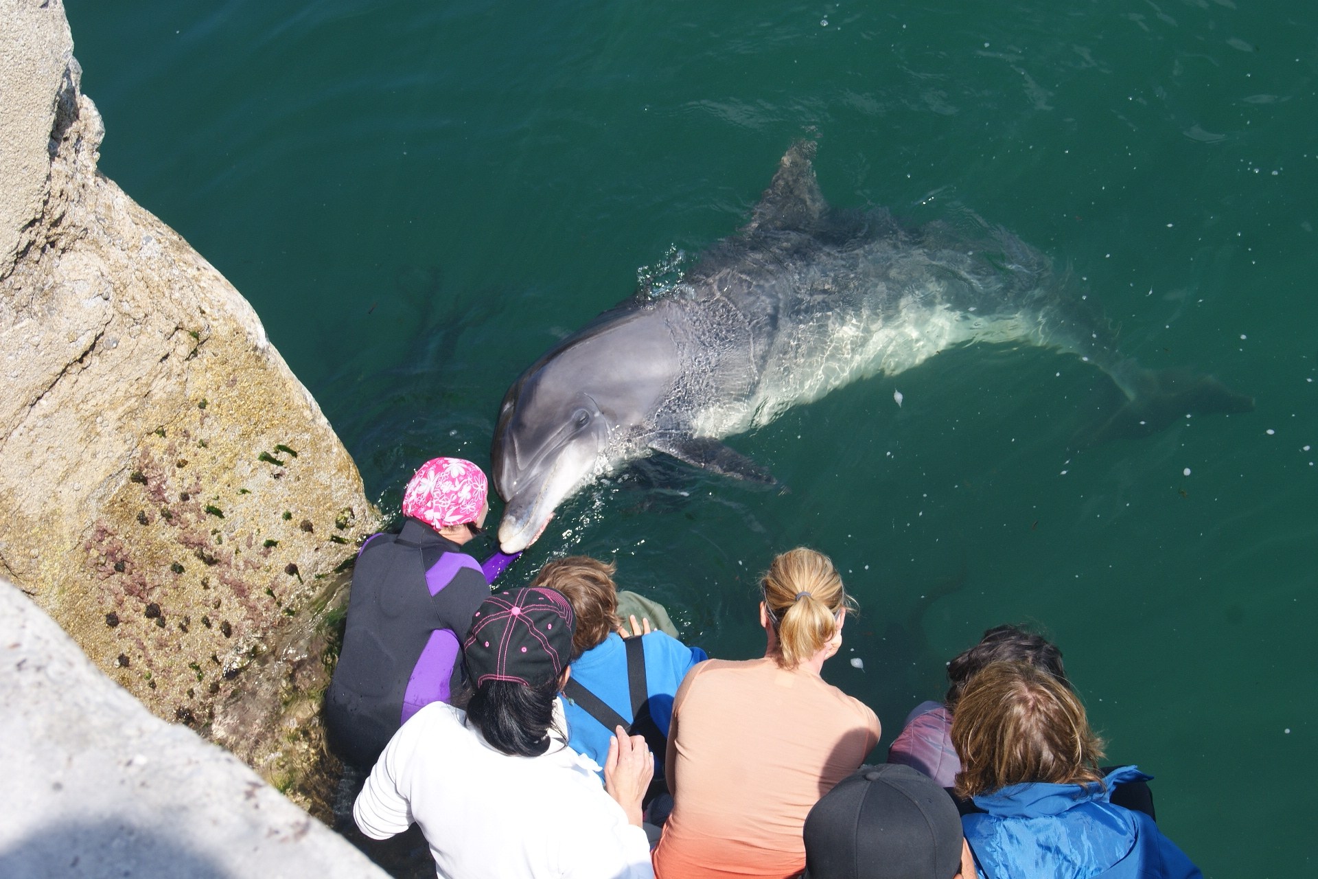 photo Irlande Wild Atlantic Way dauphin Inis Oirr